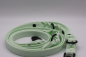 Preview: Hexa-Gurtband Leine Mint