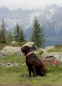 Preview: Berge-Labbi-Wasser