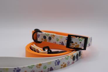 Preview: Set - Pawtastic