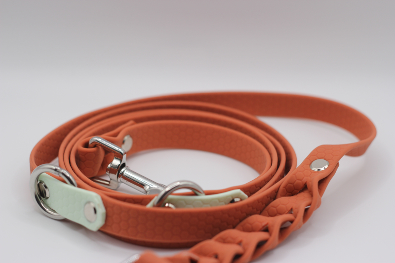 Preview: Hexa-Gurtband Leine Apricot/Mint