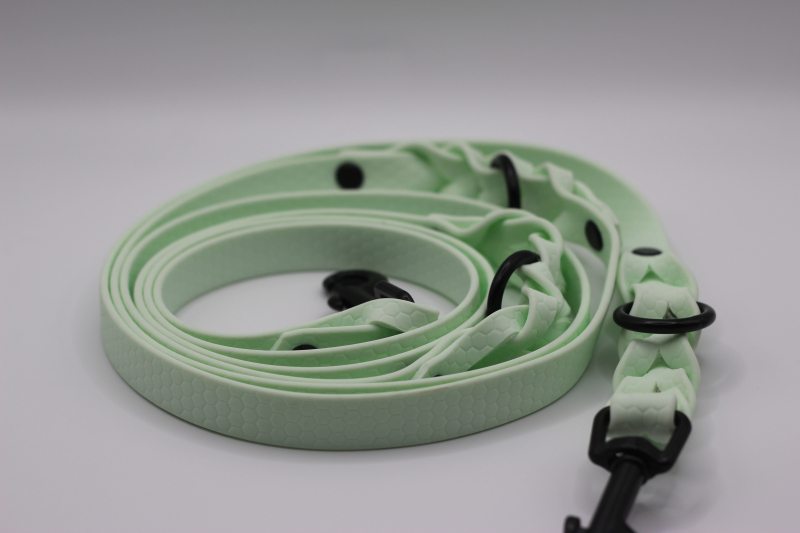 Hexa-Gurtband Leine Mint