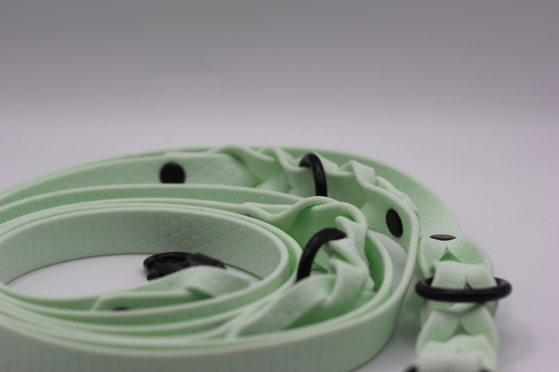 Hexa-Gurtband Leine Mint