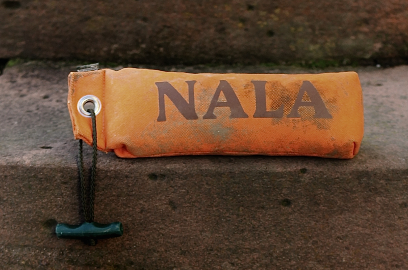 ROMNEYS Standard Dummy mit Personalisierung für Hunde – 500 g | schwimmfähig