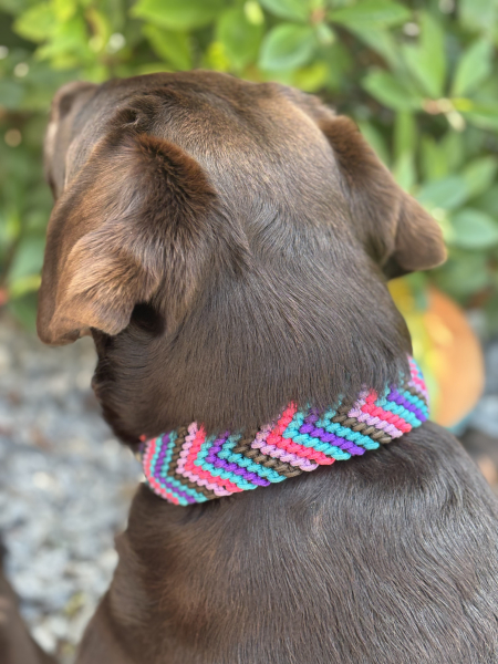 Preview: Candy Night