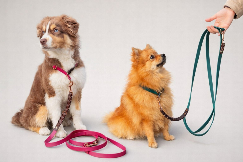 Lotte & Lilo – Braided Elegance - Biothane® Retriverleine + Leine