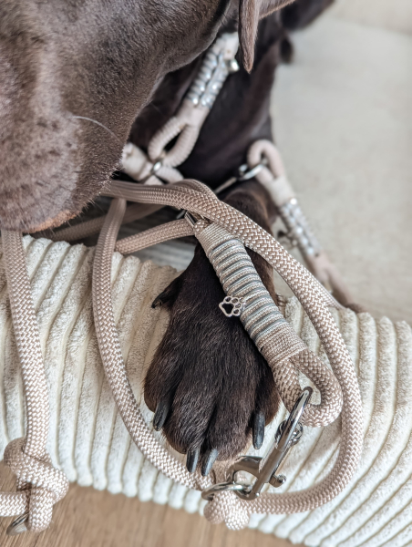 Preview: Balu's Soft Pearl