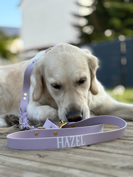 Preview: Hazels Fliederhauch - Biothane®-Retrieverleine