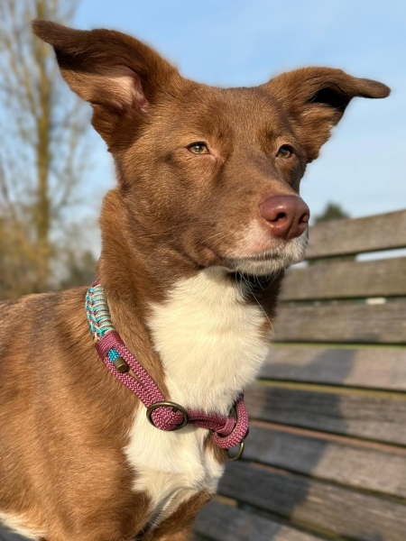 Preview: Wilma Pure - Tau-Set