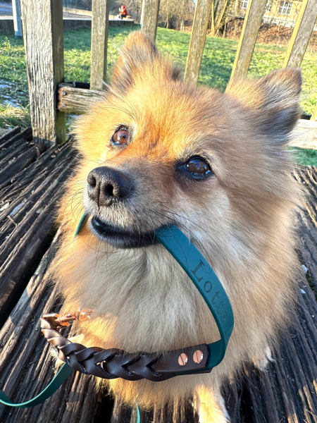 Lotte & Lilo – Braided Elegance - Biothane® Retriverleine + Leine