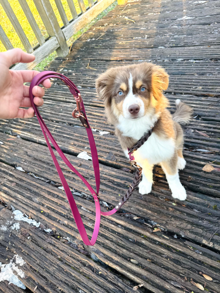 Lotte & Lilo – Braided Elegance - Biothane® Retriverleine + Leine