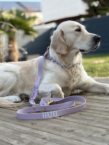 Preview: Hazels Fliederhauch - Biothane®-Retrieverleine