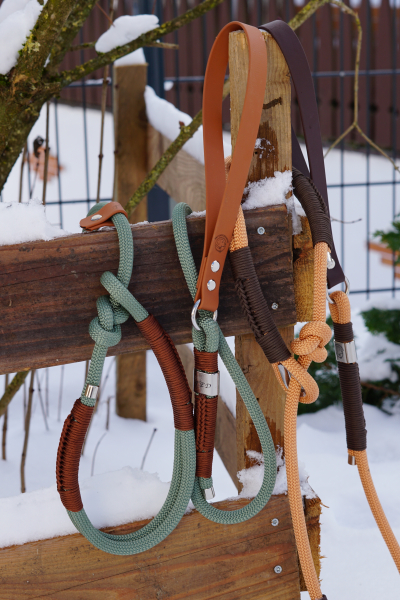 Preview: Ted & Nacho