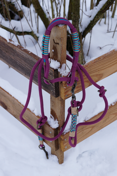 Wilma Pure - Tau-Set