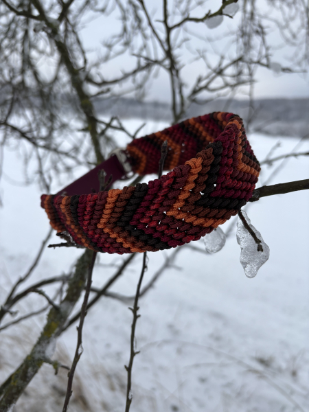 Abby’s Autumn Glow - Paracord Halsband & Tauleine