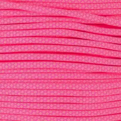 Neon Rosa x Rose Rosa