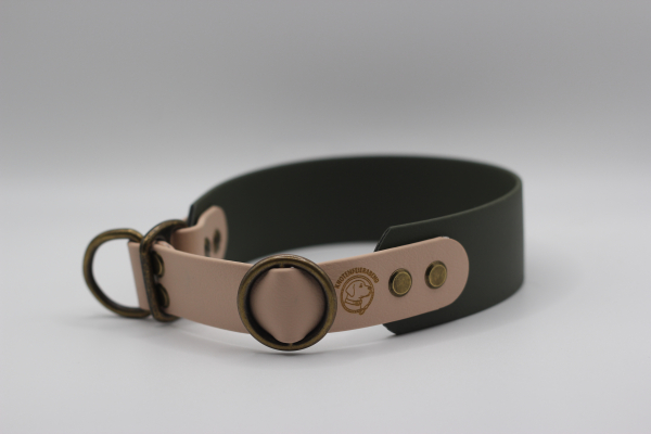 Biothane® Retrieverhalsband