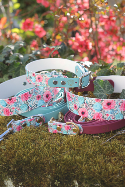 Rosé Blossom x Bordeaux Set