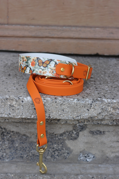 Monarch Bloom x Burnt Orange Set