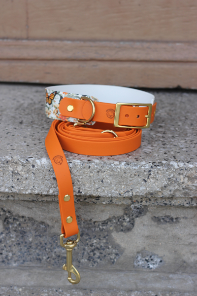 Monarch Bloom x Burnt Orange Set