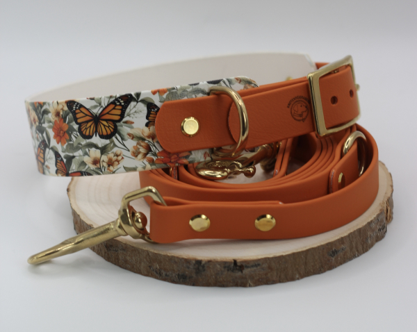 Monarch Bloom x Burnt Orange Set