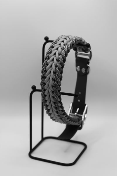 Flechtart Alpenglühen