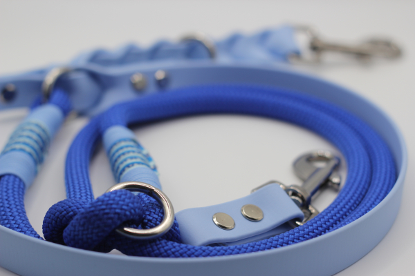 Leine Balus Traum in Blau