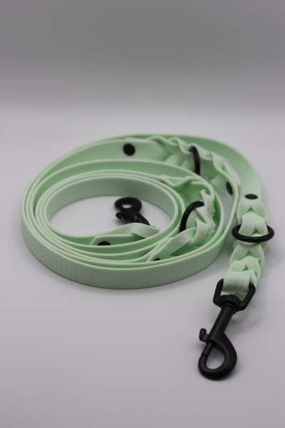 Hexa-Gurtband Leine Mint