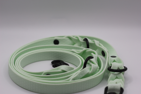Hexa-Gurtband Leine Mint