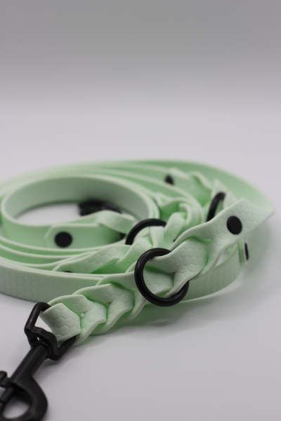 Hexa-Gurtband Leine Mint