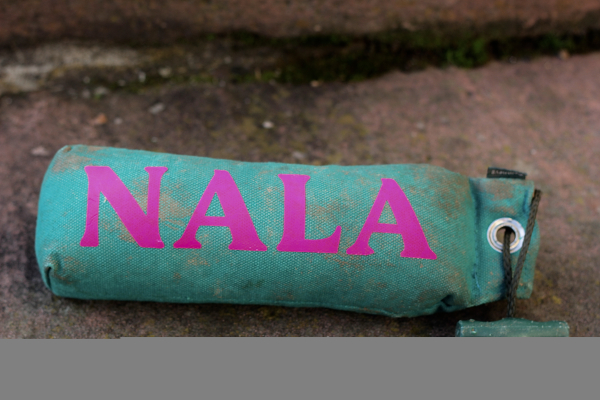 ROMNEYS Standard Dummy mit Personalisierung für Hunde – 500 g | schwimmfähig