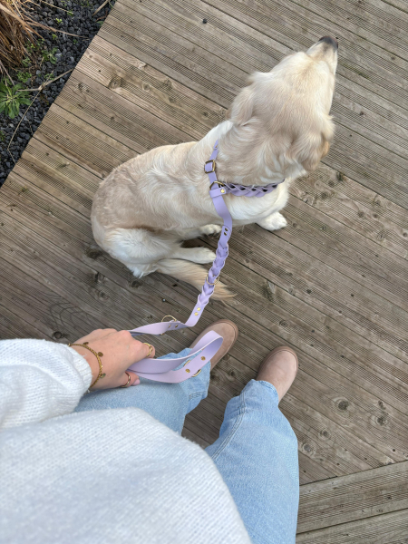 Hazels Fliederhauch - Biothane®-Retrieverleine