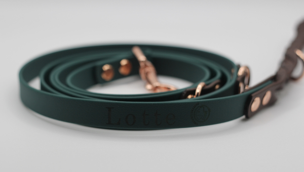 Lotte & Lilo – Braided Elegance - Biothane® Retriverleine + Leine