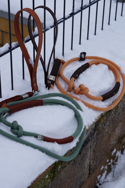 Ted & Nachos Retriever-Duo