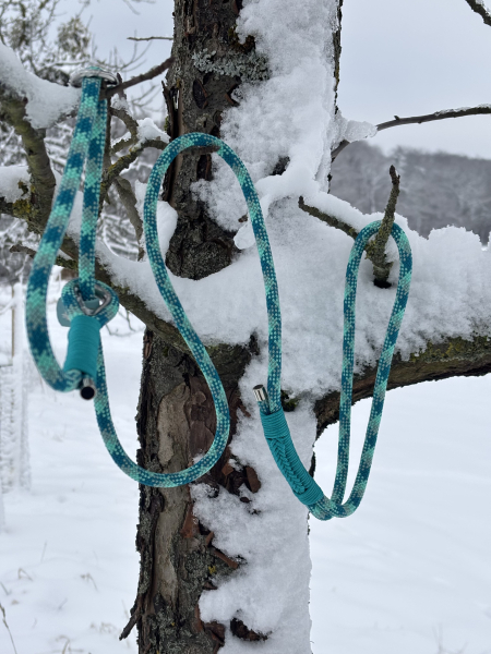 Winnie's Meerestanz - einfache Tau Retrieverleine